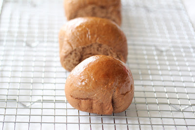 close-up photo of chocolate bread rolls