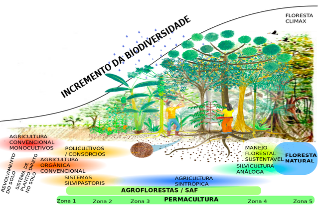 biodiversidade