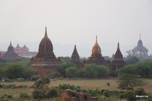 https://lh5.googleusercontent.com/_Cjqzkw0dnpY/TZhsmxM9yaI/AAAAAAAAJHA/Py0_NolpgPY/DSC03411.JPG