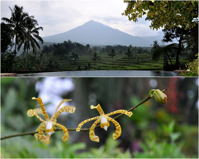 День тишины (Nyepi Day), Меласти (Melasti), Ява(Иджен) и еще