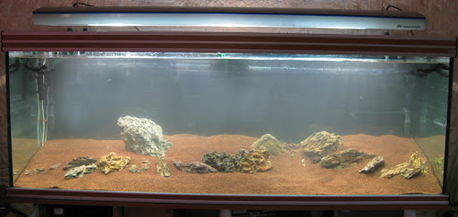 Aquarium en Aquascaping de 800 litres - Page 3 Aquarium-aquascaping_eau_04