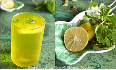 Lime Mint Cooler Recipe