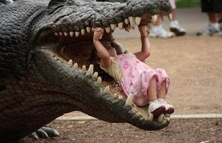شاهد فن وخدع فى التصوير  Real_alligator_not_photoshopped_rip_little_girl