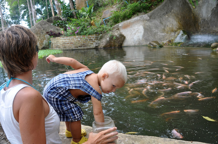 Случайности неслучайны