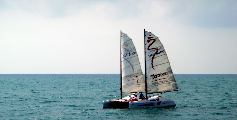 Случайности неслучайны