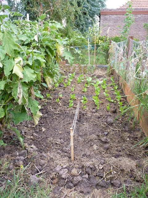 compost compost
