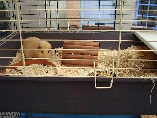 PC230570.JPG
