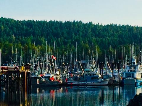 Ladysmith Harbour, family activities in the Cowichan Valley-