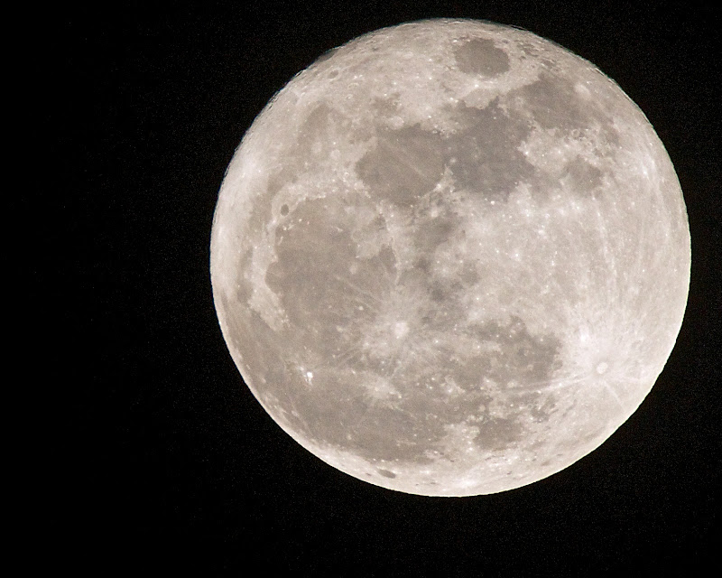 IMAGE: https://lh5.googleusercontent.com/_FqTNmgNQHz8/TYXxjRoK9aI/AAAAAAAAMkQ/VaepffZA9cA/s800/_MG_5349.jpg