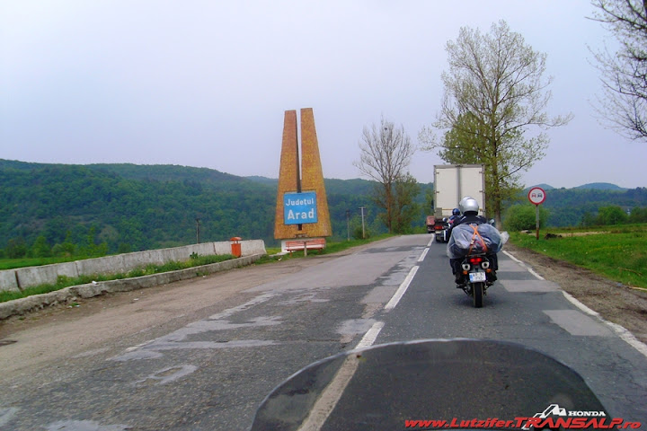 SL377724.JPG