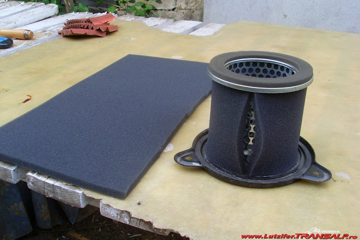 SL377502.JPG