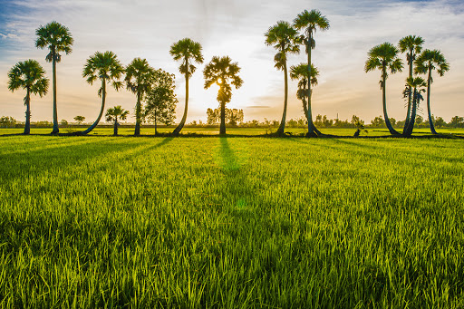 AN GIANG VÀ NHỮNG ĐỊA ĐIỂM DU LỊCH