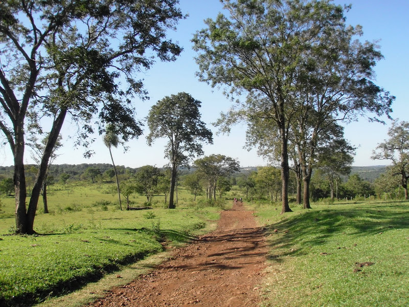 Trilha da Guavira - FOTOSSSS P4170001