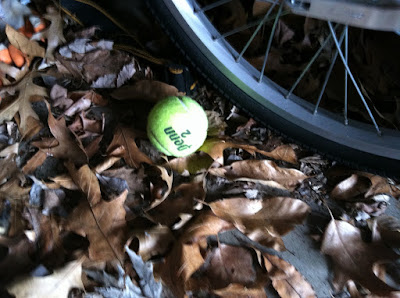 Tennis ball leaves garage photo Tennis ball leaves garage photo