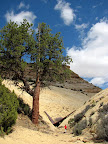 Steel dam at the head of Cat Canyon