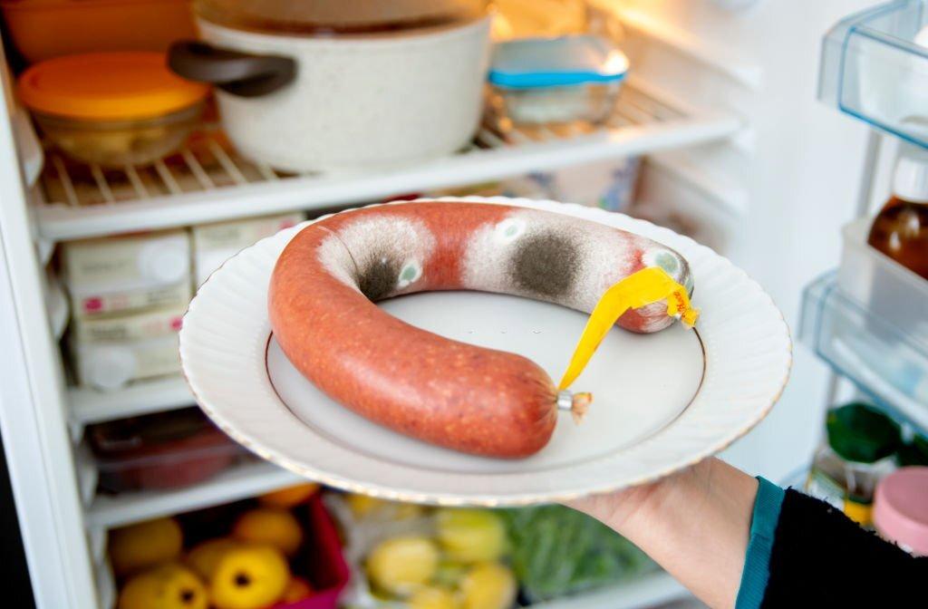 Mold in a Refrigerator