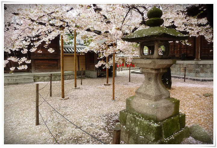 Japón es mucho más que Tokyo - Blogs de Japon - Fukuoka: lluvia, jetlag y primeros templos. (2)