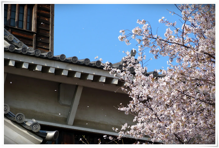 Hiroshima: pasado y presente. - Japón es mucho más que Tokyo (10)