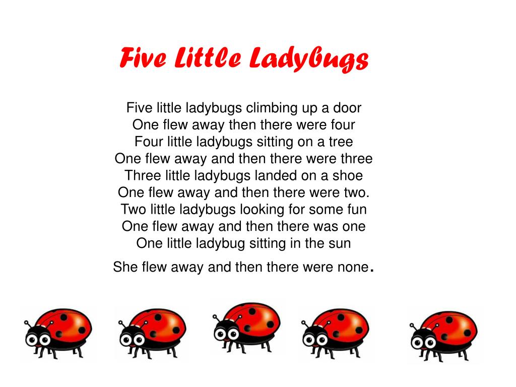 Five LittleLadybugs

