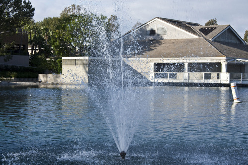 fast shutter speed example