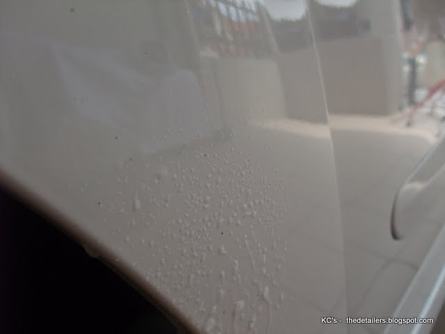 DSCF6041.JPG