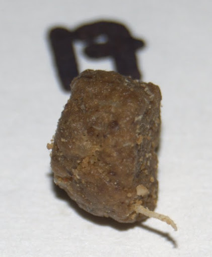 Our photo of sample CS1-17