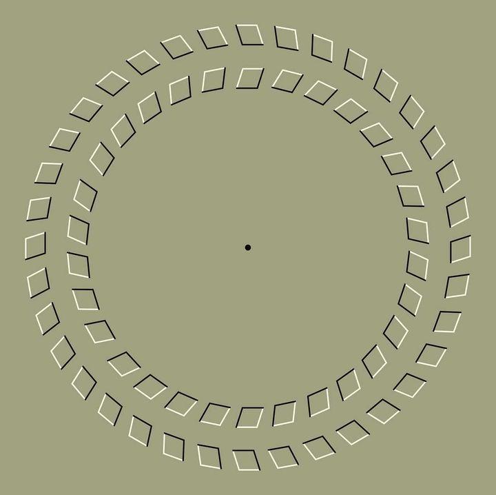 Pinna-Brelstaff Illusion