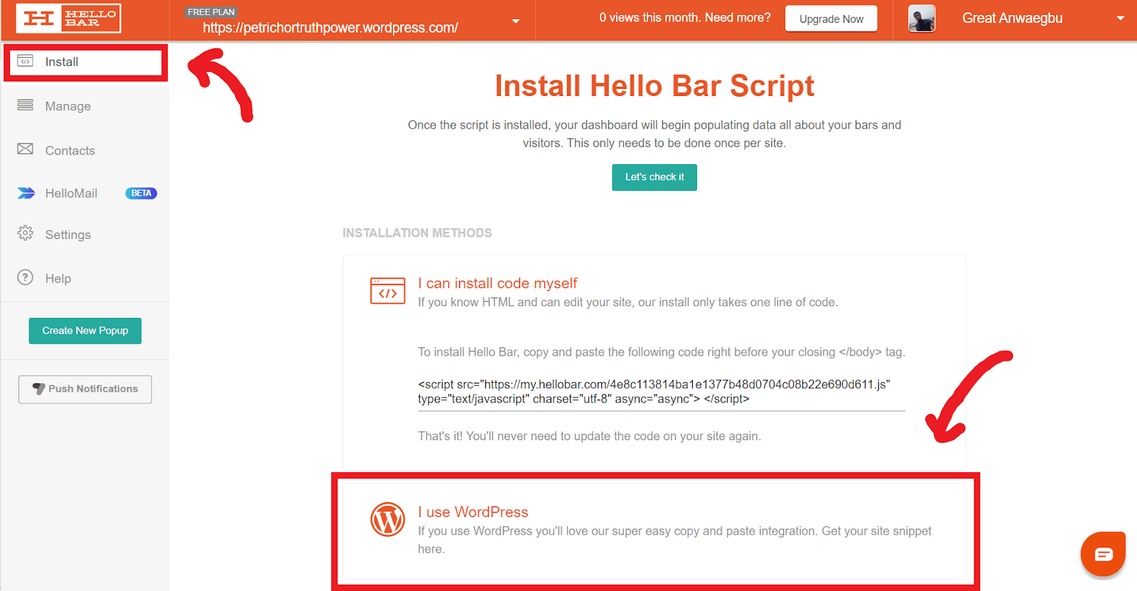 Install Hello Bar script to WordPress