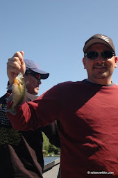 SUNFISH
