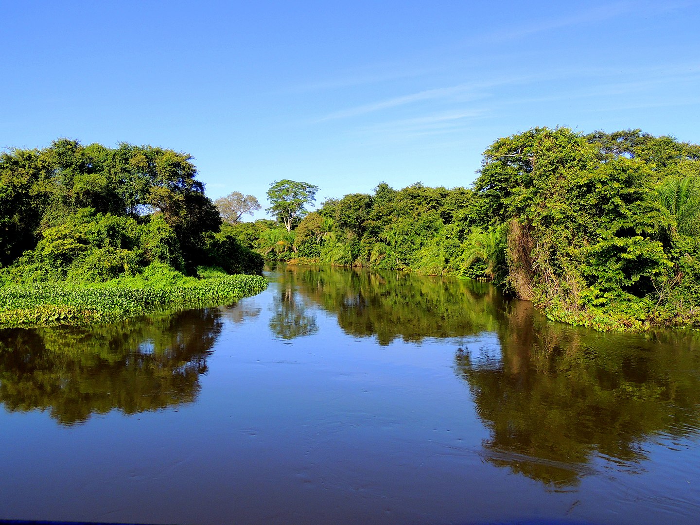 Pantanal MS