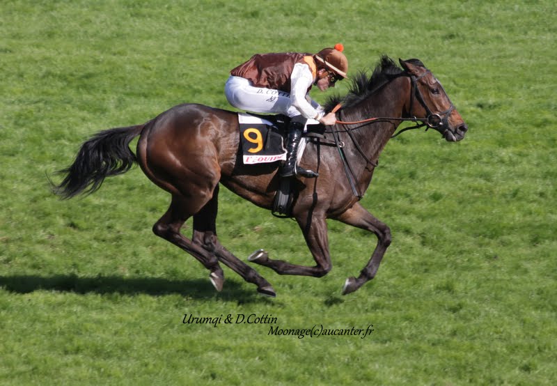 Photos Auteuil 17-05-2015 Journée du Grand Steeple - Page 2 _MrZ-adf6HdcXD7hDzOsyJp0VdBxi7ReuDTAmDHOS6fN=w800-h554-no
