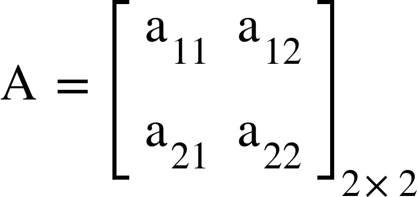 <math xmlns="http://www.w3.org/1998/Math/MathML"><mi mathvariant="normal">A</mi><mo>&#xA0;</mo><mo>=</mo><mo>&#xA0;</mo><msub><mfenced open="[" close="]"><mtable><mtr><mtd><msub><mi mathvariant="normal">a</mi><mn>11</mn></msub></mtd><mtd><msub><mi mathvariant="normal">a</mi><mn>12</mn></msub></mtd></mtr><mtr><mtd><msub><mi mathvariant="normal">a</mi><mn>21</mn></msub></mtd><mtd><msub><mi mathvariant="normal">a</mi><mn>22</mn></msub></mtd></mtr></mtable></mfenced><mrow><mn>2</mn><mo>&#xD7;</mo><mn>2</mn></mrow></msub></math>