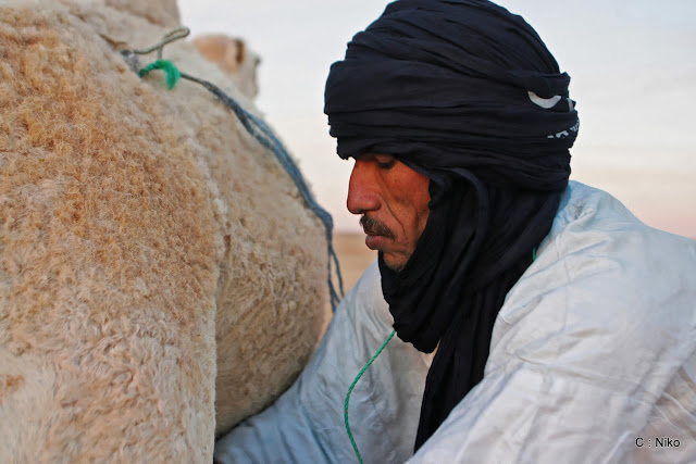 مشاهد من الصحراء والجمال JF6Y1534_DxO