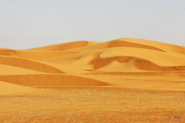 مشاهد من الصحراء والجمال JF6Y1614_DxO