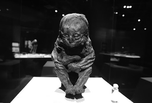 The Detmold Child a 10-month-old pre-Columbian mummy approximately 6,500 years old.
