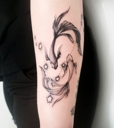 Pisces Fish And Constellation 