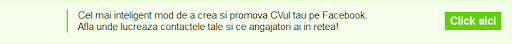 ceevee1