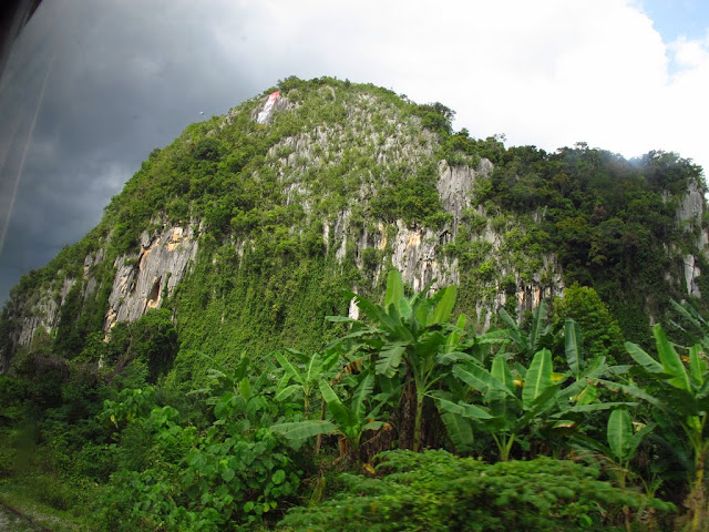 Malaysia Limestones / Jungle