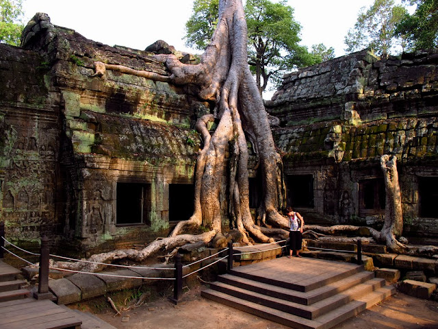 Another impressive temple - reclaimed back by nature