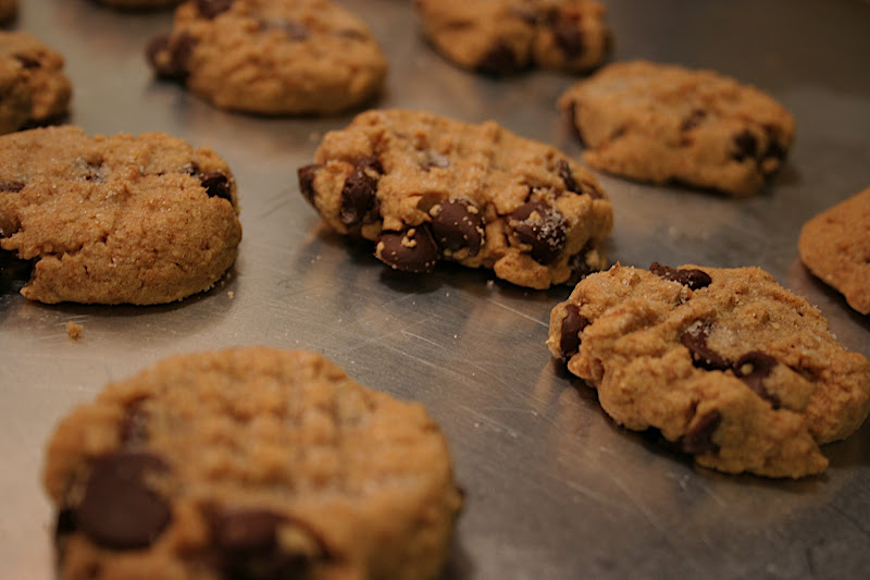 PB Cookies