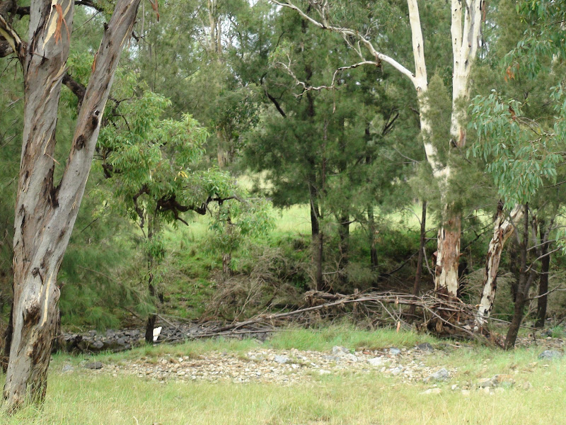 Warwick Fossicking Area [video] Image002