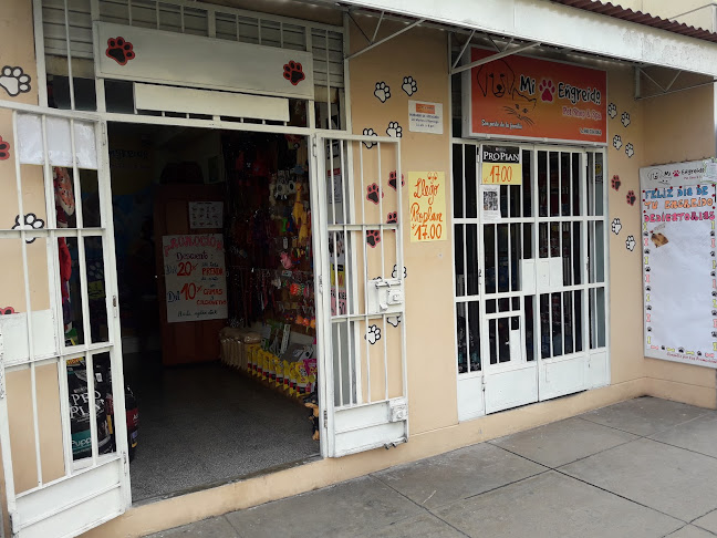 Mi Engreido - Callao
