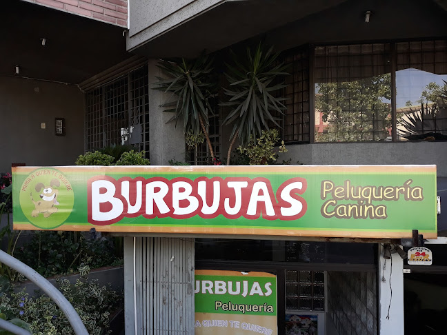 Burbujas Peluquería Canina