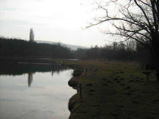 IMG_4222.JPG