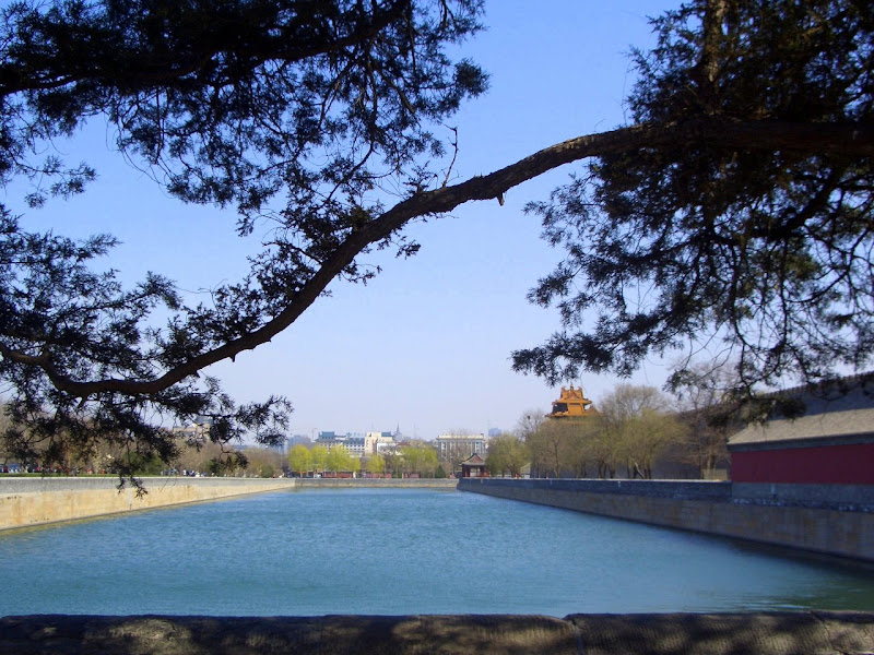 Forum Image: https://lh5.googleusercontent.com/_SdF0uuk3iUc/R_lxThed-0I/AAAAAAAAD8M/kKDCZWZeRec/s800/CIMG5731.JPG