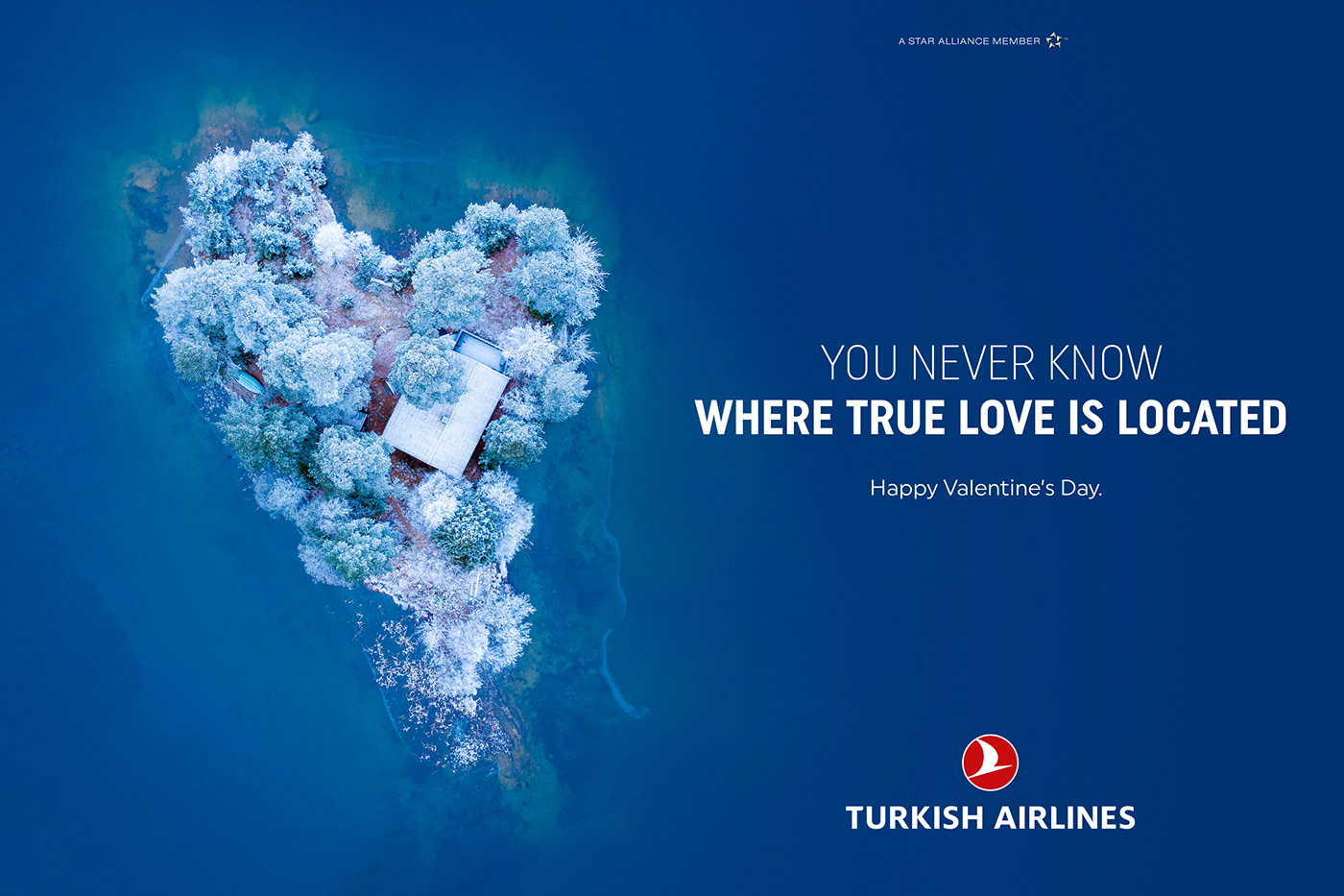 Turkish Airlines Valentine's Day campaign