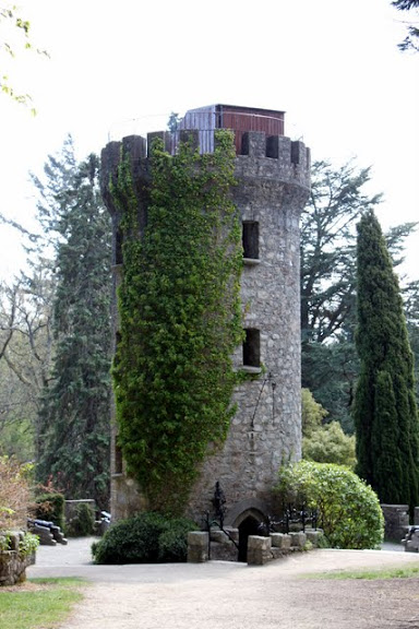 Escapada de 4 días en Dublín - Blogs de Irlanda - Día 2: Powerscourt Gardens y Glendalough (2)