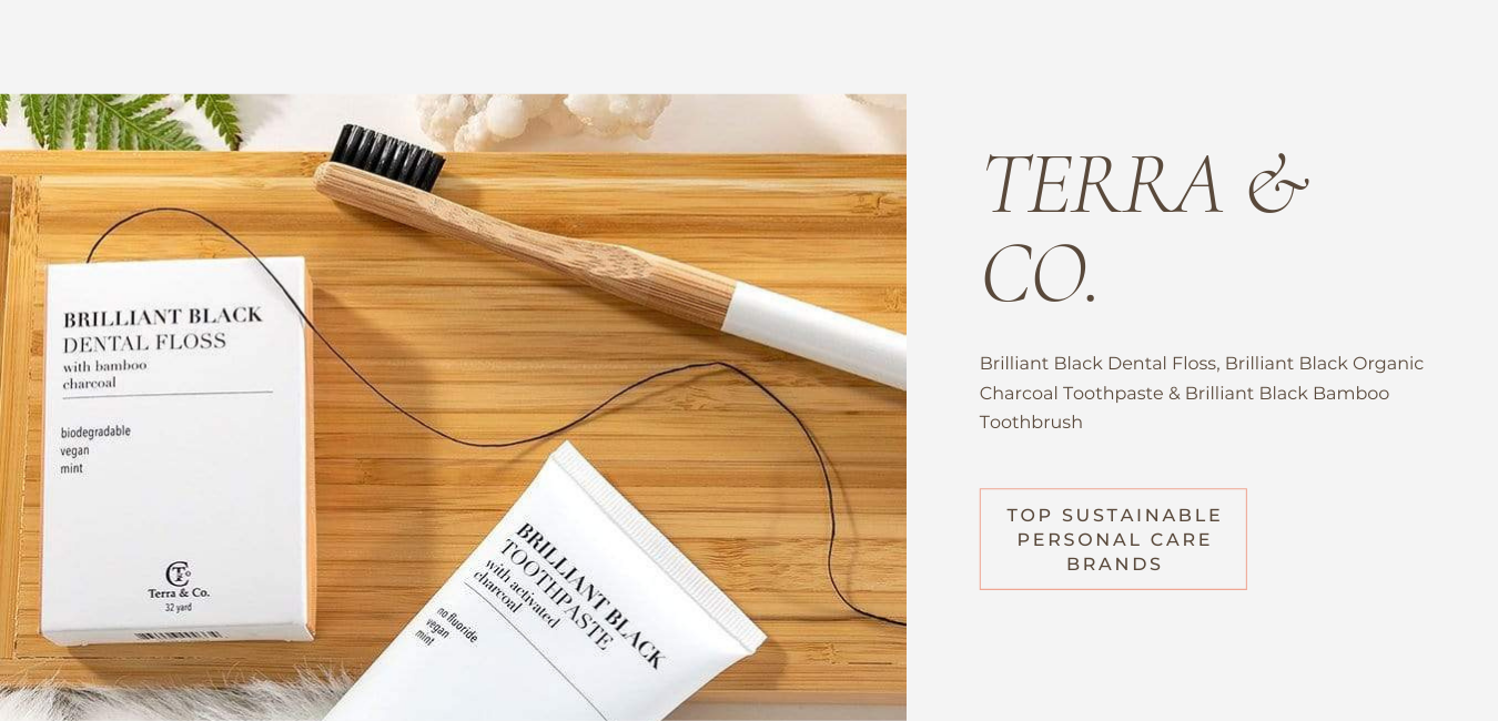 sustainable dental health from Terra & Co