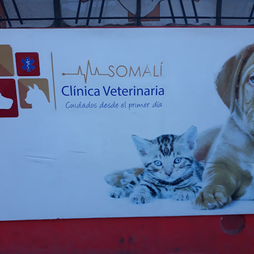 Clínica Veterinaria Somalí