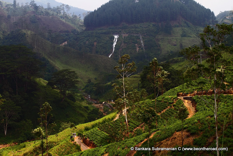 Lovely Tea Estates of Ginigathhena